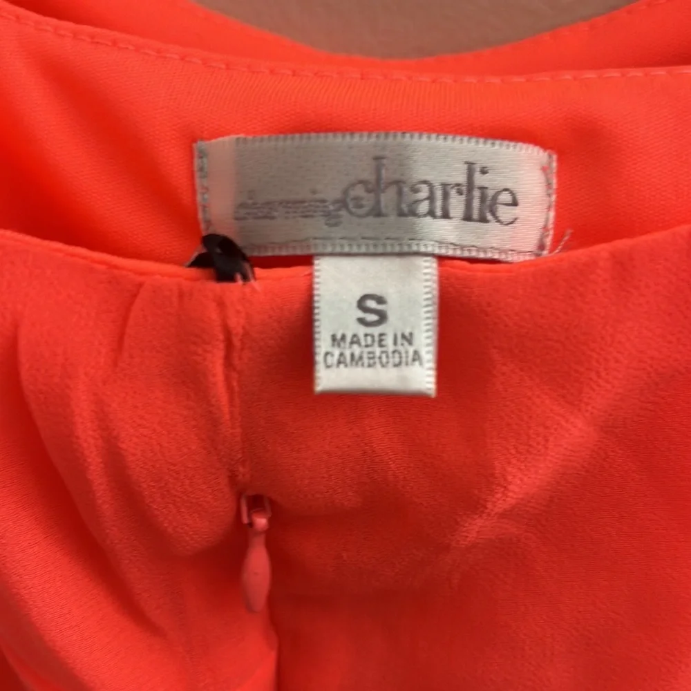 CHARMING CHARLIE LEOPARD MAXI DRESS - Picture 5 of 5